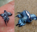 The Blue Dragon