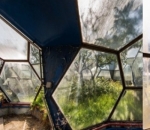 Green House yang Ditinggalkan