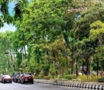 Menjadi Kota Metropolis Terhijau