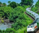 Melihat Pemandangan Laut Jawa dari Kereta Api Argo Bromo Anggrek Pagi
