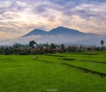 Jalur KA Lodaya dengan Pemandangan Pegunungan yang Menghipnotis