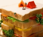 Memanjat Gunung Sandwich