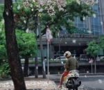 Surabaya Bak Jepang di Bulan September-November