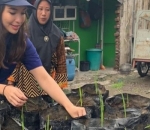 Manohara Pinot Menanam Bibit Saat Kampanye di Surabaya
