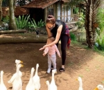 Aura Kasih