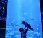 <i>Happiest moment</i> shandy aulia adalah bermain dengan claire