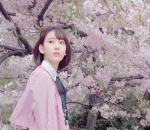 Sakura Diantara Bunga yang Indah