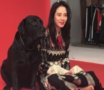 Hewan menyukai song ji hyo