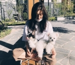 Penyayang Hewan, terutama anjing