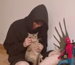 Miliki <i>Soft Spot</i> Untuk Kucing 