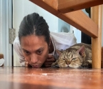 Dikta Sangat Menyayangi Kucing Peliharannya