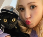 keimutan Jeon somi dan zorro