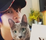 Gemas Bersama Kucing