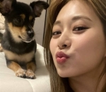 Potret imut Tzuyu bareng anjing