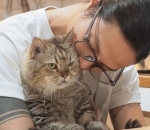 Penyayang  kucing 