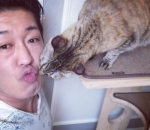 Penyayang kucing