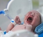 Potret Kenzo nangis imut