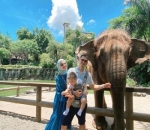 Ajak anak mengenal fauna