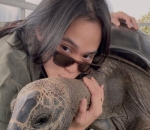 <i>animal lovers</i>