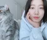 <i>Animal lovers</i>