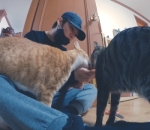 Bagikan Momen Uwu Dengan Kucing Kesayangan