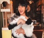 pecinta kucing