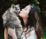 Pecinta kucing