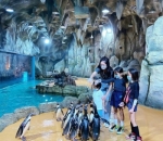 ajak anak mengenal fauna