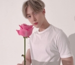Pancarkan Pesona <i>Boyfriend Material</i>