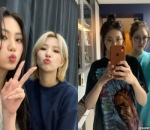 Si <i>Social Butterfly</i>