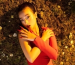 <i>Lady in red</i>