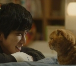 'Imaginary Cat'