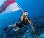 <i>Diving</i>
