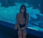 Kunjungi Aquarium