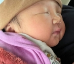 bobok gemas ala Xarena
