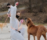 pecinta anjing