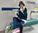 pecinta anjing