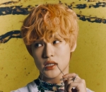 Bersahabat Dengan Felix Stray Kids