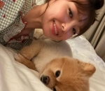 Pecinta anjing 