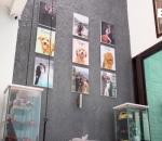 Banyak koleksi foto