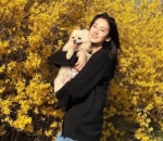 pecinta anjing