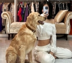 Pecinta Anjing