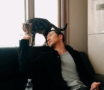 pecinta kucing