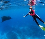 Menikmati keindahan surga bawah laut