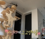 Rumah Kucing