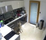 Dapur Minimalis