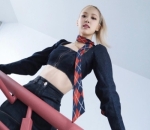gaya <i>low angle</i>