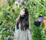 pergi ke alam hijau