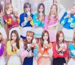 Debut Dengan 12 Member