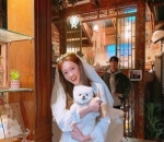 Pecinta Anjing